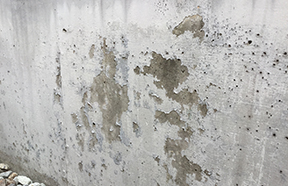 P集合住宅 大規模修繕工事