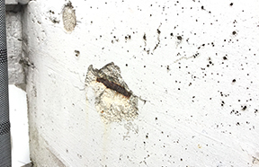 P集合住宅 大規模修繕工事