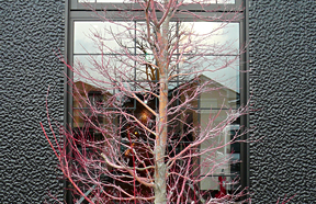 天下味 土佐走路店